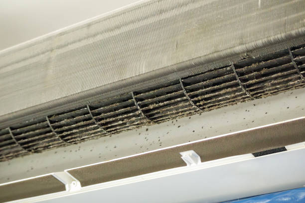 Best Duct Cleaning for Homes  in Beechwood Village, KY